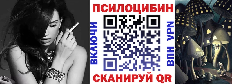 Купить где  Курск  Псилоцибиновые грибы мицелий 